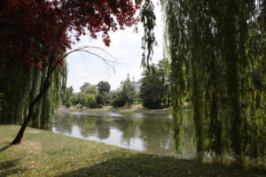 Kielce. Park Miejski im. Stanisława Staszica / Patryk Cudzik / Radio Kielce