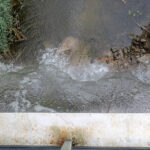 Kielce. Wodospad na Kadzielni / Magdalena Blicharska / Radio Kielce