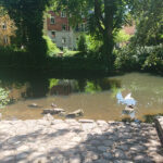 Nad rzeką w Odense matka Hansa Christiana Andersena pracowała jako praczka / Marlena Płaska / Mateusz Kaczmarczyk / Radio Kielce