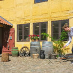 Rozrywki z czasów Hansa Christiana Andersena / Anne Sofie Peteresen