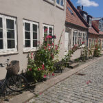 Uliczki z czasów Hansa Christiana Andersena / Marlena Płaska / Mateusz Kaczmarczyk / Radio Kielce