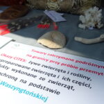 Święto policji / Emilia Sitarska / Radio Kielce