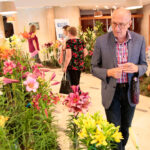 Kielce. Wystawa lilii / Wiktor Taszłow / Radio Kielce