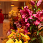 Kielce. Wystawa lilii w KCK / Wiktor Taszłow / Radio Kielce