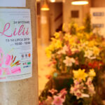 Kielce. Wystawa lilii w KCK / Wiktor Taszłow / Radio Kielce