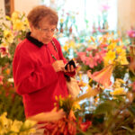 Kielce. Wystawa lilii w KCK / Wiktor Taszłow / Radio Kielce