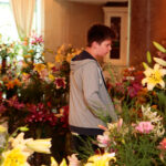 Kielce. Wystawa lilii w KCK / Wiktor Taszłow / Radio Kielce