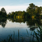 Dolina Nidy w okolicach Umianowic / Zespół Świętokrzyskich i Nadnidziańskich Parków Krajobrazowych / Dolina Nidy w okolicach Umianowic
