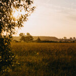 Dolina Nidy w okolicach Umianowic / Zespół Świętokrzyskich i Nadnidziańskich Parków Krajobrazowych / Dolina Nidy w okolicach Umianowic