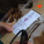 Zamek Krzyżtopór w Ujeździe, Letnia biesiada rycerska "Na szlachecką nutę" / Emilia Sitarska / Radio Kielce