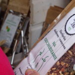 Zamek Krzyżtopór w Ujeździe, Letnia biesiada rycerska "Na szlachecką nutę" / Emilia Sitarska / Radio Kielce