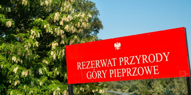 Rezerwat Góry Pieprzowe / swietokrzyskie.travel
