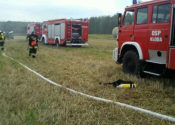 Rytwiany. Pożar w zakładzie produkującym znicze / KP Policji w Staszowie