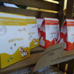 Bałtów. XII Świętokrzyskie Święto Pszczoły. Targi produktów pszczelich i dla pszczelarstwa / Emilia Sitarska / Radio Kielce