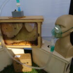 Bałtów. XII Świętokrzyskie Święto Pszczoły. Targi produktów pszczelich i dla pszczelarstwa / Emilia Sitarska / Radio Kielce