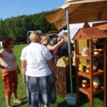 Bałtów. XII Świętokrzyskie Święto Pszczoły. Targi produktów pszczelich i dla pszczelarstwa / Emilia Sitarska / Radio Kielce