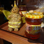 Bałtów. XII Świętokrzyskie Święto Pszczoły. Targi produktów pszczelich i dla pszczelarstwa / Emilia Sitarska / Radio Kielce