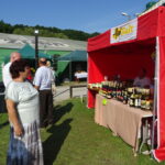 Bałtów. XII Świętokrzyskie Święto Pszczoły. Targi produktów pszczelich i dla pszczelarstwa / Emilia Sitarska / Radio Kielce