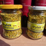 Bałtów. XII Świętokrzyskie Święto Pszczoły. Targi produktów pszczelich i dla pszczelarstwa / Emilia Sitarska / Radio Kielce