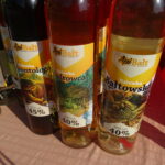 Bałtów. XII Świętokrzyskie Święto Pszczoły. Targi produktów pszczelich i dla pszczelarstwa / Emilia Sitarska / Radio Kielce