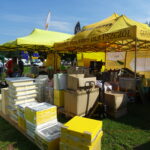 Bałtów. XII Świętokrzyskie Święto Pszczoły. Targi produktów pszczelich i dla pszczelarstwa / Emilia Sitarska / Radio Kielce