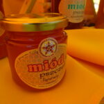 Bałtów. XII Świętokrzyskie Święto Pszczoły. Targi produktów pszczelich i dla pszczelarstwa / Emilia Sitarska / Radio Kielce