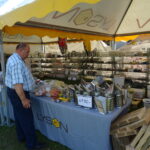 Bałtów. XII Świętokrzyskie Święto Pszczoły. Targi produktów pszczelich i dla pszczelarstwa / Emilia Sitarska / Radio Kielce