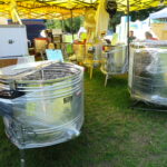 Bałtów. XII Świętokrzyskie Święto Pszczoły. Targi produktów pszczelich i dla pszczelarstwa / Emilia Sitarska / Radio Kielce