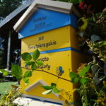 Bałtów. XII Świętokrzyskie Święto Pszczoły. Targi produktów pszczelich i dla pszczelarstwa / Emilia Sitarska / Radio Kielce