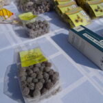 Bałtów. XII Świętokrzyskie Święto Pszczoły. Targi produktów pszczelich i dla pszczelarstwa / Emilia Sitarska / Radio Kielce