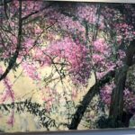 Obrazy Aleksandry Rey na nowej wystawie w galerii Biura Wystaw Artystycznych w Sandomierzu / Grażyna-Szlęzak-Wójcik / Radio Kielce