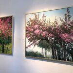 Obrazy Aleksandry Rey na nowej wystawie w galerii Biura Wystaw Artystycznych w Sandomierzu / Grażyna-Szlęzak-Wójcik / Radio Kielce