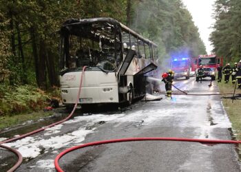 Pożar autobusu pomiędzy Sielpią, a miejscowością Barak / Magdalena Galas Klusek / Radio Kielce