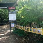 Święta Katarzyna. Wielki Dzień Pszczół / Dorota Klusek / Radio Kielce