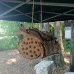 Święta Katarzyna. Wielki Dzień Pszczół / Dorota Klusek / Radio Kielce