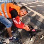 Pielgrzymka na Jasną Górę / Magdalena Galas-Klusek / Radio Kielce