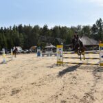 Końskie. Zawody jeździeckie / Magdalena Galas-Klusek / Radio Kielce