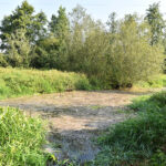 Stąporków. W oczyszczalni ścieków doszło do wycieku nieznanej substancji do rzeki Czarna / Magdalena Galas-Klusek / Radio Kielce