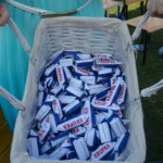 Małogoszcz. Dożynki Powiatu Jędrzejowskiego / Ewa Pociejowska-Gawęda / Radio Kielce