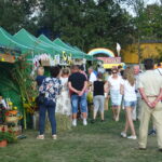 Małogoszcz. Dożynki Powiatu Jędrzejowskiego / Ewa Pociejowska-Gawęda / Radio Kielce