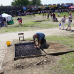 22. Święto Śliwki / Michał Kita / Radio Kielce