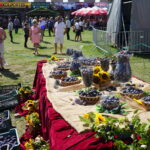 22. Święto Śliwki / Michał Kita / Radio Kielce