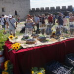 22. Święto Śliwki / Michał Kita / Radio Kielce