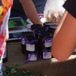 22. Święto Śliwki / Michał Kita / Radio Kielce