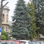 Solec-Zdrój. Letni Raport Dnia / Grzegorz Jamka / Radio Kielce