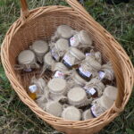 Wizyta w gospodarstwie pasiecznym Janusza Stanika w Skroniowie / Michał Kita / Radio Kielce