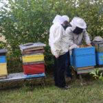 Wizyta w gospodarstwie pasiecznym Janusza Stanika w Skroniowie. Od lewej: Krzysztof Lipiec - poseł PiS i Janusz Stanik / Michał Kita / Radio Kielce