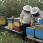 Wizyta w gospodarstwie pasiecznym Janusza Stanika w Skroniowie. Od lewej: Krzysztof Lipiec - poseł PiS i Janusz Stanik / Michał Kita / Radio Kielce