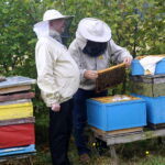 Wizyta w gospodarstwie pasiecznym Janusza Stanika w Skroniowie. Od lewej: Krzysztof Lipiec - poseł PiS i Janusz Stanik / Michał Kita / Radio Kielce