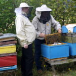 Wizyta w gospodarstwie pasiecznym Janusza Stanika w Skroniowie. Od lewej: Krzysztof Lipiec - poseł PiS i Janusz Stanik / Michał Kita / Radio Kielce